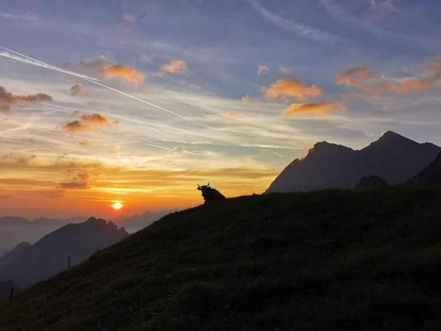 Alpenperle Appartement Isenthal Buitenkant foto